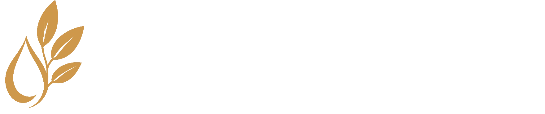 haferdrinks.de Logo